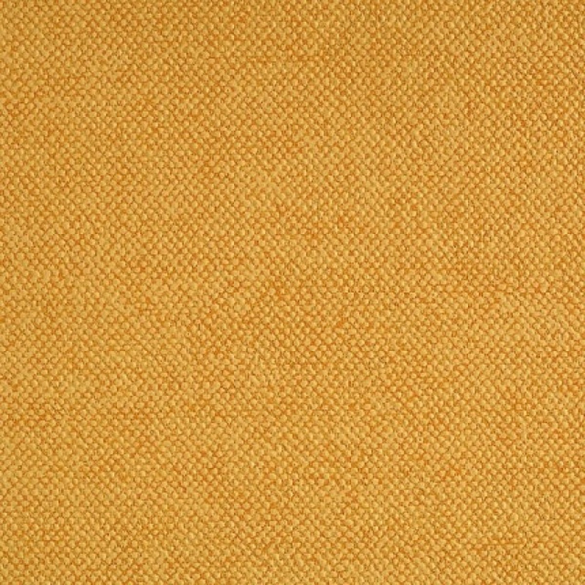 Les Unis 40099 Lin Safran